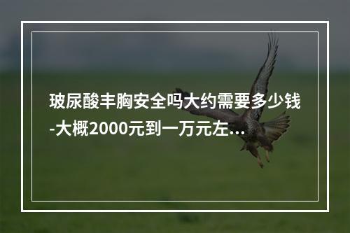 玻尿酸丰胸安全吗大约需要多少钱-大概2000元到一万元左右