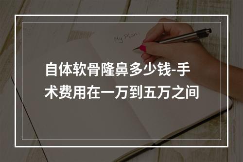 自体软骨隆鼻多少钱-手术费用在一万到五万之间