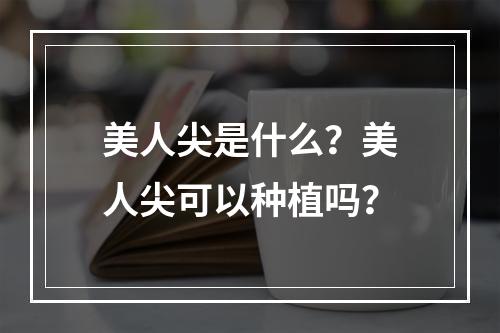 美人尖是什么？美人尖可以种植吗？