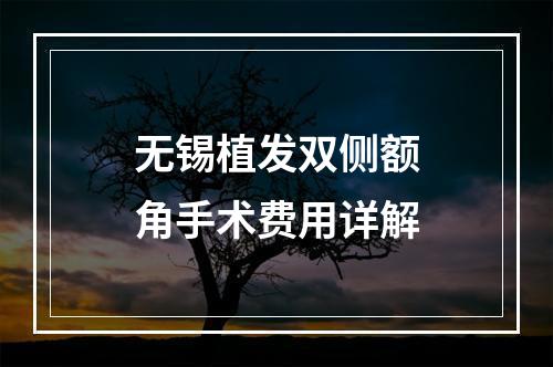 无锡植发双侧额角手术费用详解