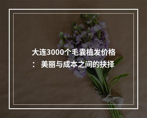 大连3000个毛囊植发价格： 美丽与成本之间的抉择