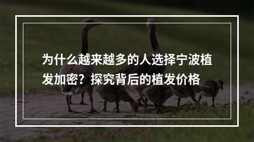 为什么越来越多的人选择宁波植发加密？探究背后的植发价格