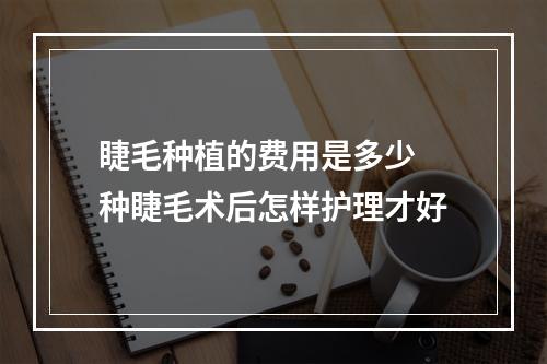 睫毛种植的费用是多少 种睫毛术后怎样护理才好