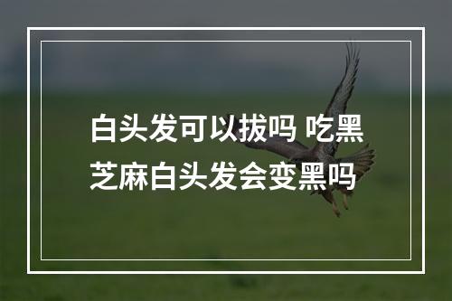 白头发可以拔吗 吃黑芝麻白头发会变黑吗