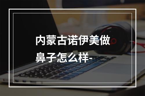 内蒙古诺伊美做鼻子怎么样-