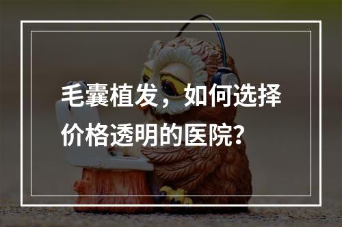 毛囊植发，如何选择价格透明的医院？