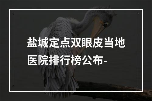 盐城定点双眼皮当地医院排行榜公布-