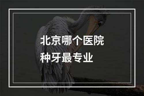 北京哪个医院种牙最专业