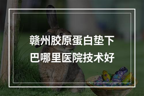 赣州胶原蛋白垫下巴哪里医院技术好