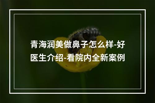 青海润美做鼻子怎么样-好医生介绍-看院内全新案例