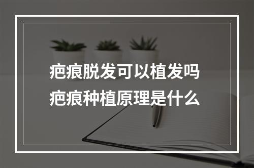 疤痕脱发可以植发吗 疤痕种植原理是什么