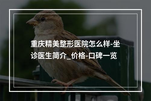 重庆精美整形医院怎么样-坐诊医生简介_价格-口碑一览