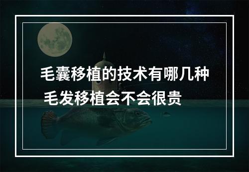 毛囊移植的技术有哪几种 毛发移植会不会很贵