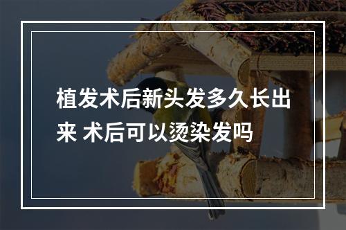 植发术后新头发多久长出来 术后可以烫染发吗