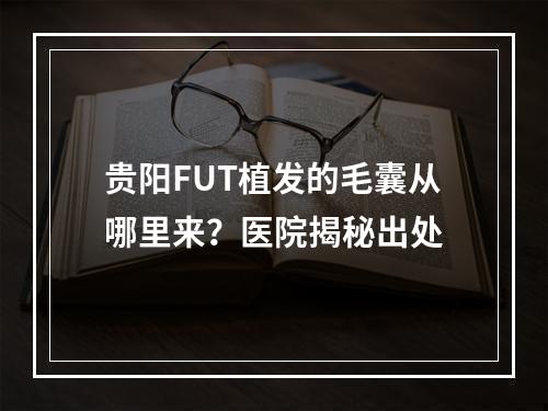 贵阳FUT植发的毛囊从哪里来？医院揭秘出处