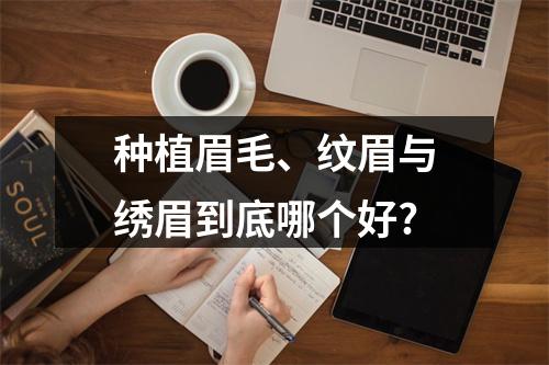 种植眉毛、纹眉与绣眉到底哪个好?