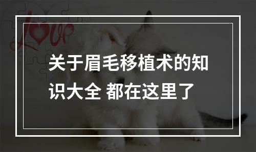 关于眉毛移植术的知识大全 都在这里了