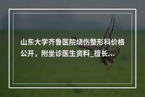 山东大学齐鲁医院烧伤整形科价格公开，附坐诊医生资料_擅长项目