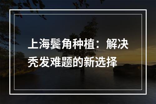 上海鬓角种植：解决秃发难题的新选择