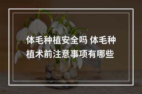 体毛种植安全吗 体毛种植术前注意事项有哪些