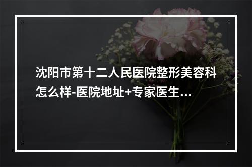 沈阳市第十二人民医院整形美容科怎么样-医院地址+专家医生全攻略