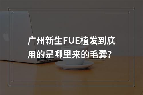 广州新生FUE植发到底用的是哪里来的毛囊？