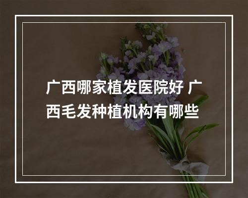 广西哪家植发医院好 广西毛发种植机构有哪些