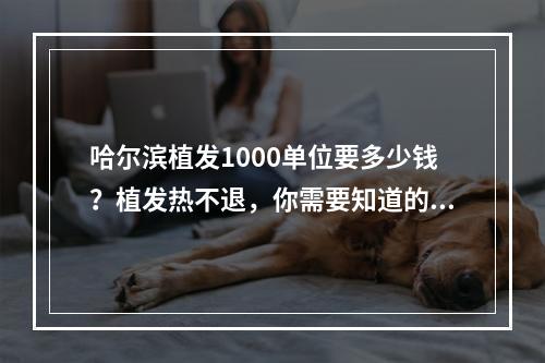 哈尔滨植发1000单位要多少钱？植发热不退，你需要知道的一切！