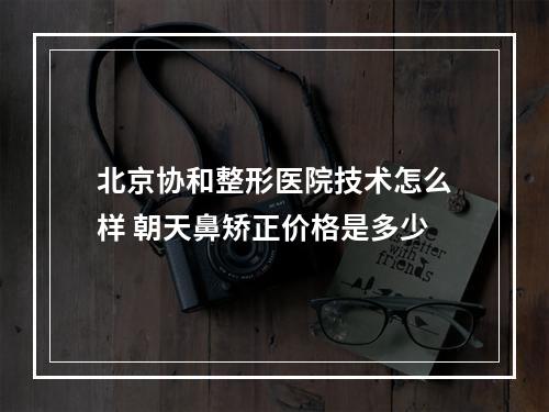 北京协和整形医院技术怎么样 朝天鼻矫正价格是多少