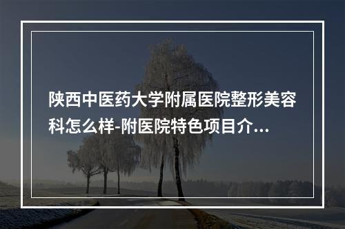 陕西中医药大学附属医院整形美容科怎么样-附医院特色项目介绍