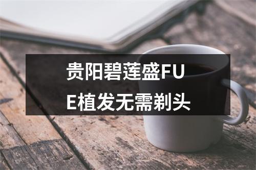 贵阳碧莲盛FUE植发无需剃头