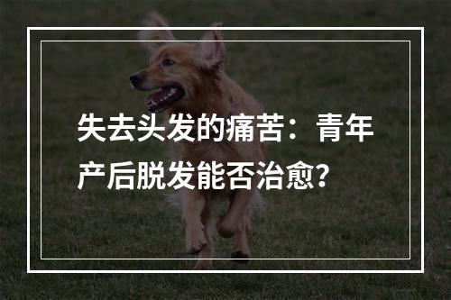 失去头发的痛苦：青年产后脱发能否治愈？