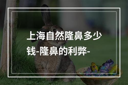 上海自然隆鼻多少钱-隆鼻的利弊-