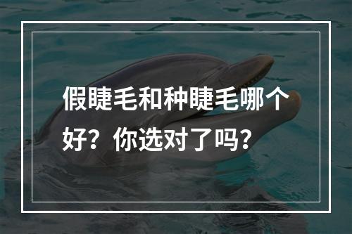 假睫毛和种睫毛哪个好？你选对了吗？