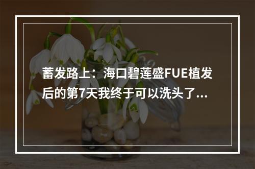 蓄发路上：海口碧莲盛FUE植发后的第7天我终于可以洗头了！