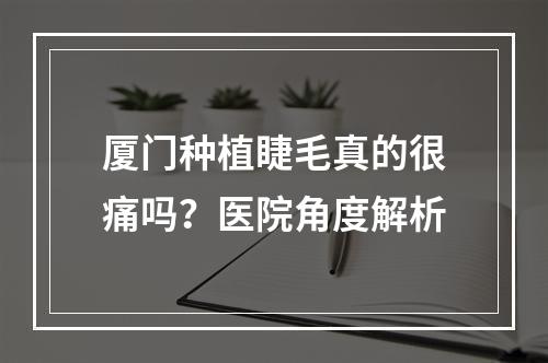 厦门种植睫毛真的很痛吗？医院角度解析