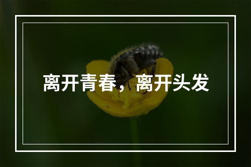 离开青春，离开头发