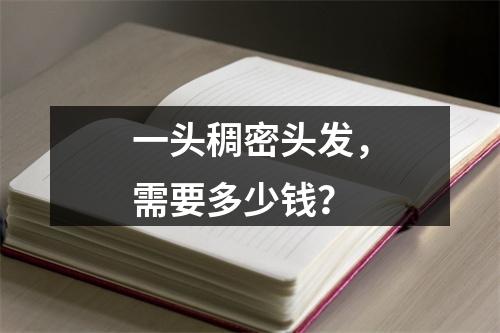 一头稠密头发，需要多少钱？