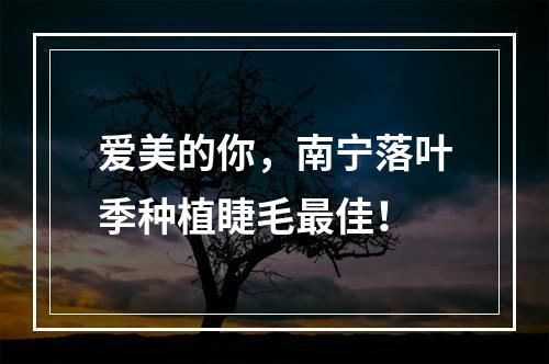 爱美的你，南宁落叶季种植睫毛最佳！