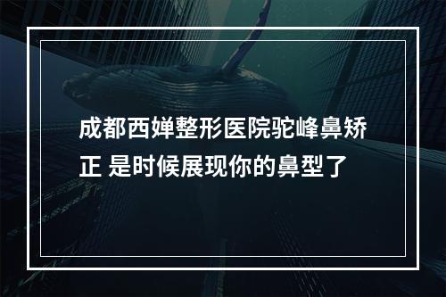 成都西婵整形医院驼峰鼻矫正 是时候展现你的鼻型了