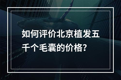 如何评价北京植发五千个毛囊的价格？