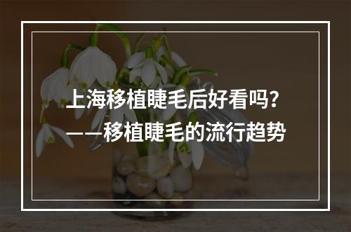 上海移植睫毛后好看吗？——移植睫毛的流行趋势