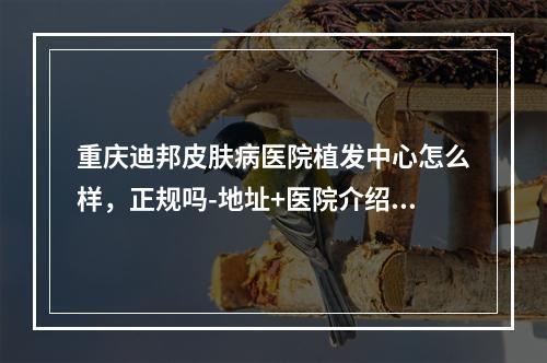 重庆迪邦皮肤病医院植发中心怎么样，正规吗-地址+医院介绍，探店必看