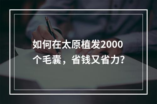 如何在太原植发2000个毛囊，省钱又省力？