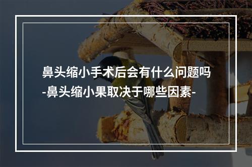 鼻头缩小手术后会有什么问题吗-鼻头缩小果取决于哪些因素-