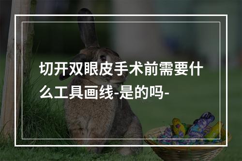 切开双眼皮手术前需要什么工具画线-是的吗-