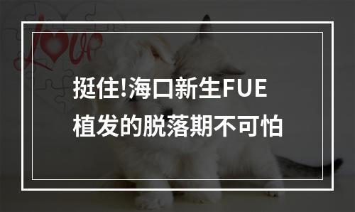 挺住!海口新生FUE植发的脱落期不可怕