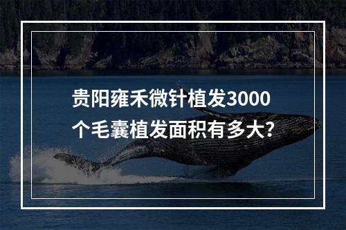 贵阳雍禾微针植发3000个毛囊植发面积有多大？