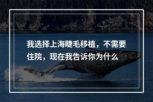 我选择上海睫毛移植，不需要住院，现在我告诉你为什么