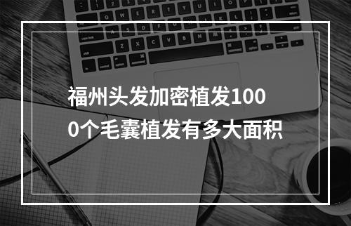 福州头发加密植发1000个毛囊植发有多大面积